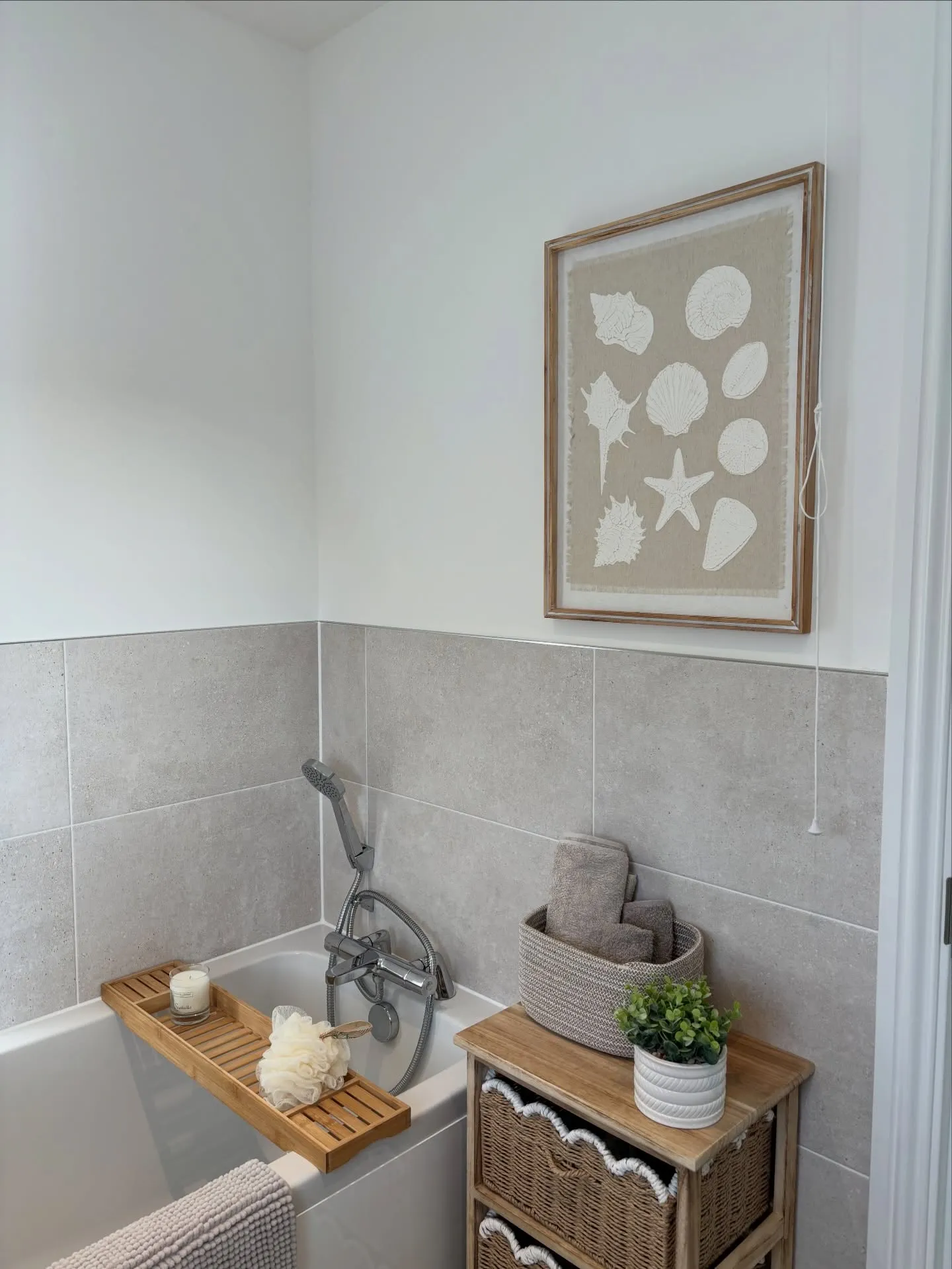 Coastal Shell Wall Artwork