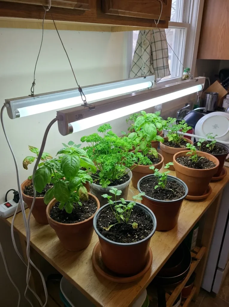 FLUORESCENT GROW LIGHTS
