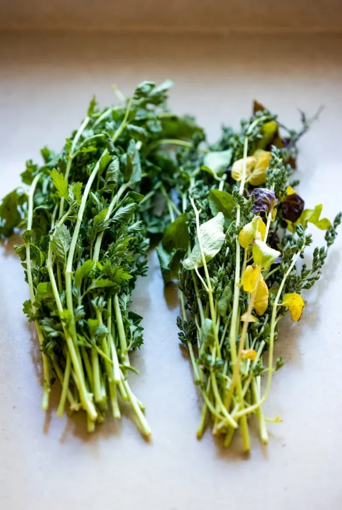 Signs Fresh Herbs Are Starting to Spoil