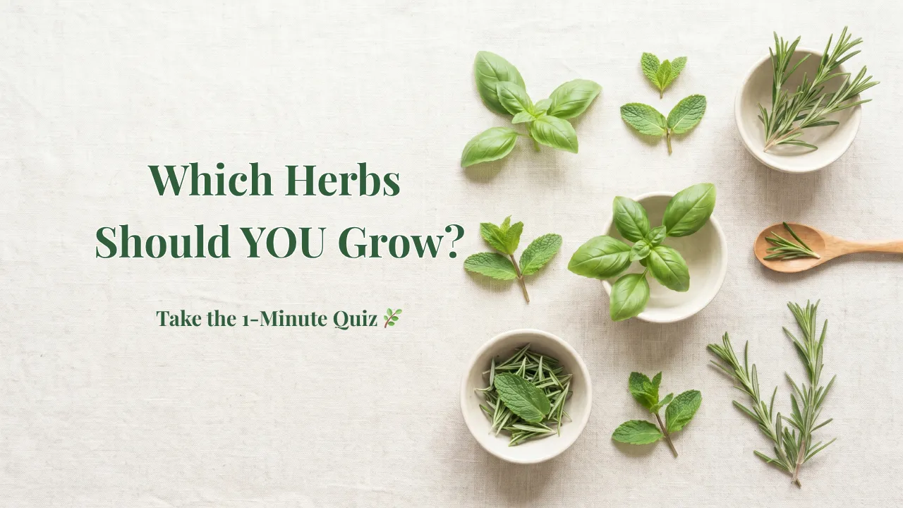Which Herbs Should You Grow
